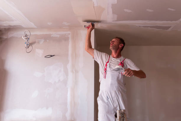 Best Drywall Finishing  in Brunswick, GA